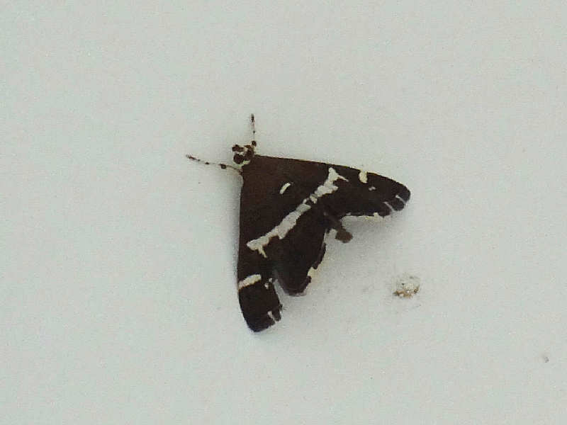 f0204094_2146423.jpg