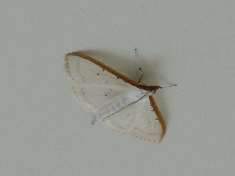 f0204094_21495271.jpg