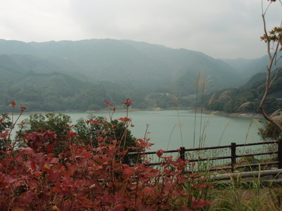 a0207196_21393670.jpg