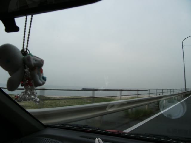 a0194797_21294.jpg