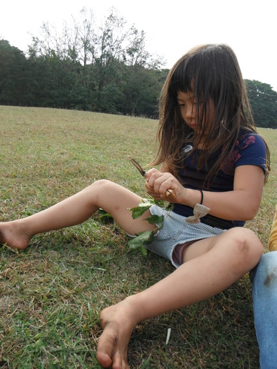 d0227298_1715489.jpg