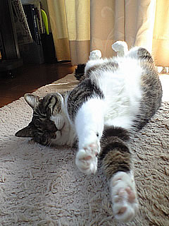 c0035001_11565234.jpg