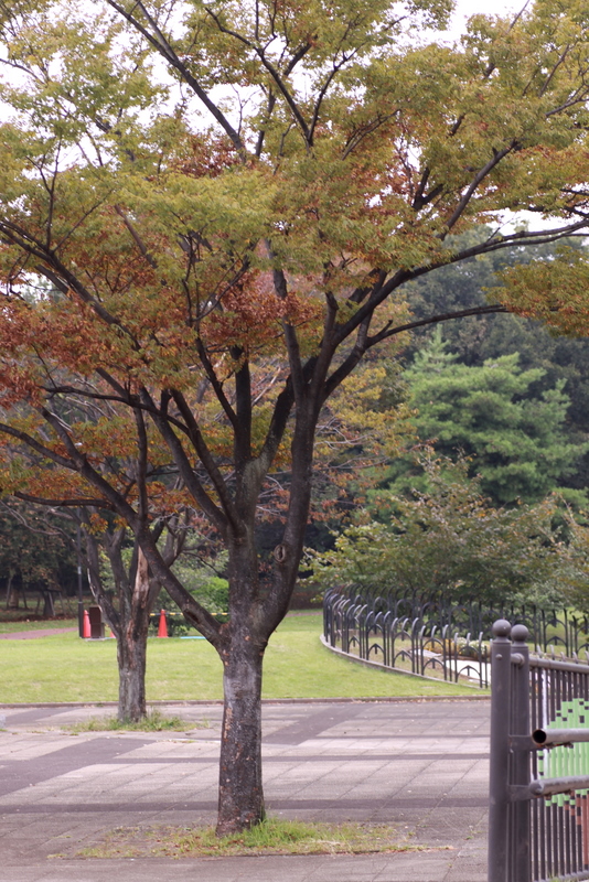 d0248502_73033.jpg