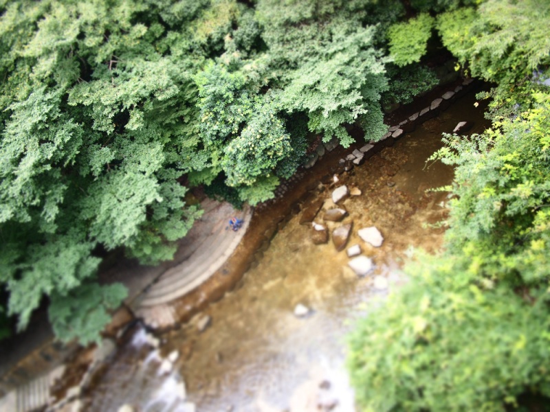 c0187503_1025654.jpg