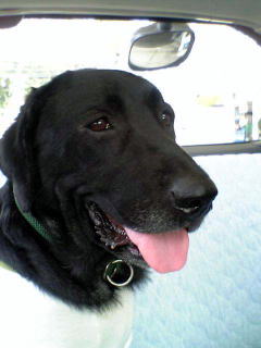 d0023103_22213877.jpg