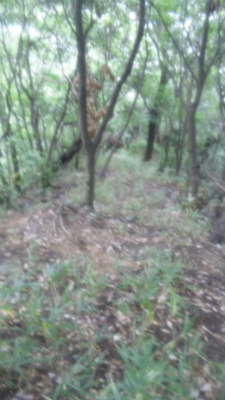 e0183004_19244637.jpg