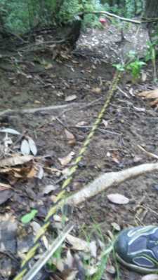 e0183004_19262746.jpg