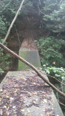 e0183004_19284282.jpg