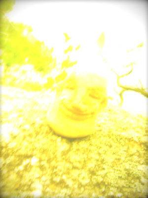 e0183004_1932392.jpg