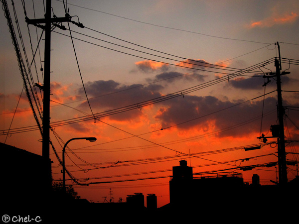 a0154706_12252367.jpg