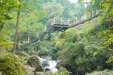 f0217507_11432020.jpg