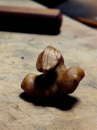 f0135908_14581316.jpg