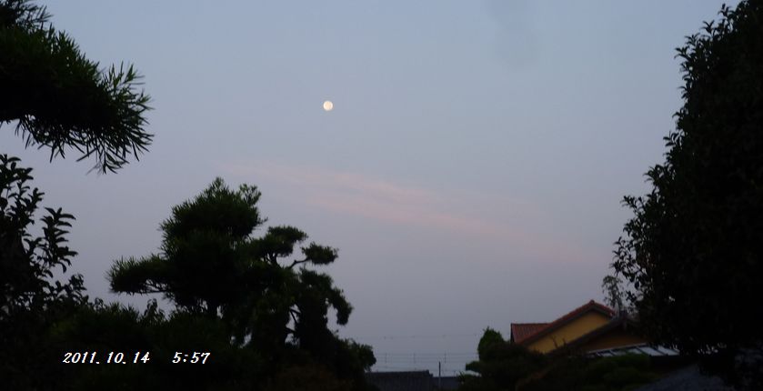 c0097309_1023584.jpg