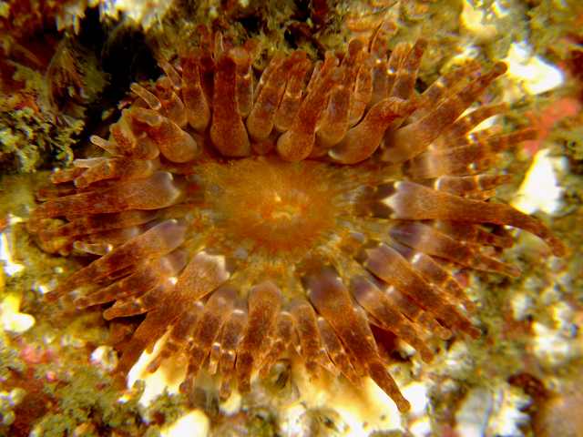 d0175710_2152770.jpg