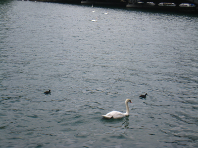 f0033510_22123155.jpg