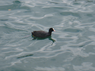 f0033510_22124591.jpg