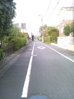 d0191211_19174.jpg