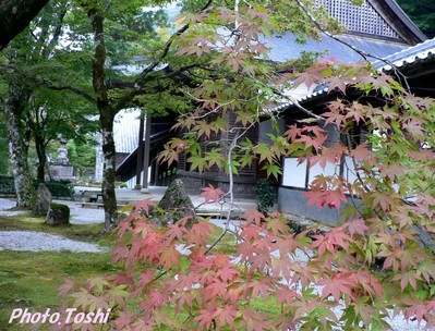 永源寺_b0223617_11182380.jpg