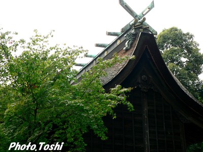 敏萬寺遺講跡_b0223617_12313233.jpg