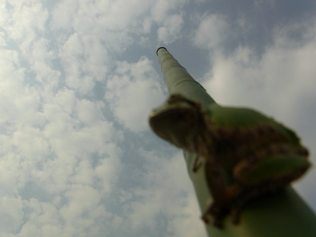 f0219018_20130.jpg
