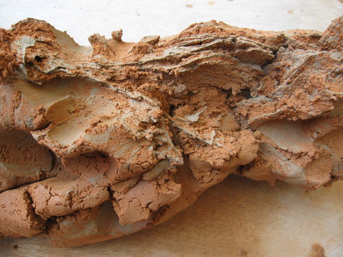 d0197620_2047971.jpg
