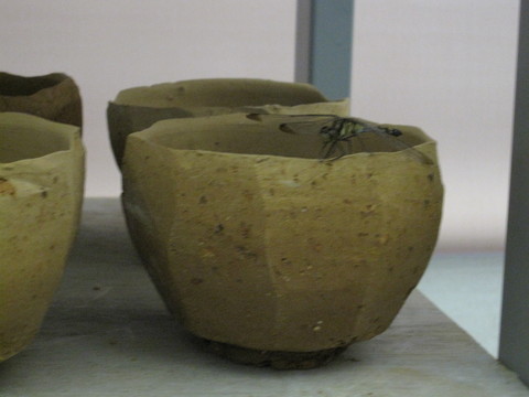 d0197620_2050491.jpg