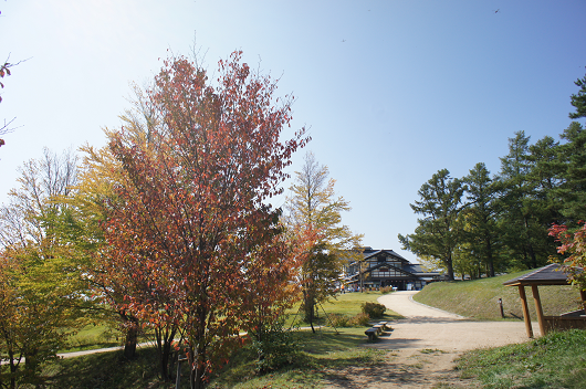 f0192920_17151637.png
