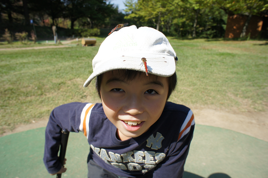 f0192920_17214770.png