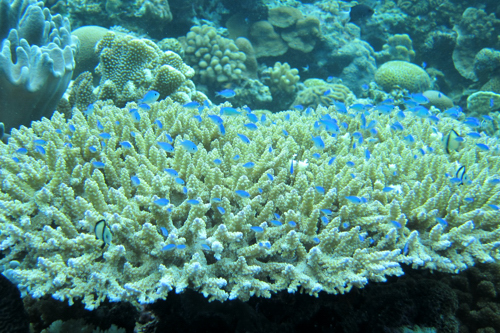 b0158923_20403320.jpg