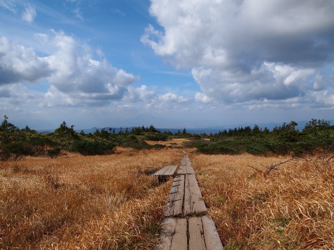 紅葉の毛無パラダイスライン＠八甲田（青森市）*2011.10.12_b0147224_12215862.jpg