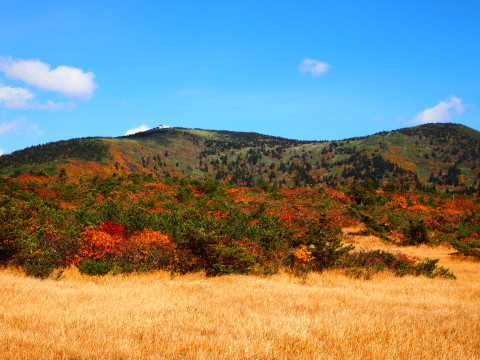 紅葉の毛無パラダイスライン＠八甲田（青森市）*2011.10.12_b0147224_12252971.jpg