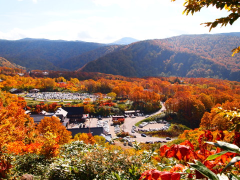 紅葉の毛無パラダイスライン＠八甲田（青森市）*2011.10.12_b0147224_12571017.jpg