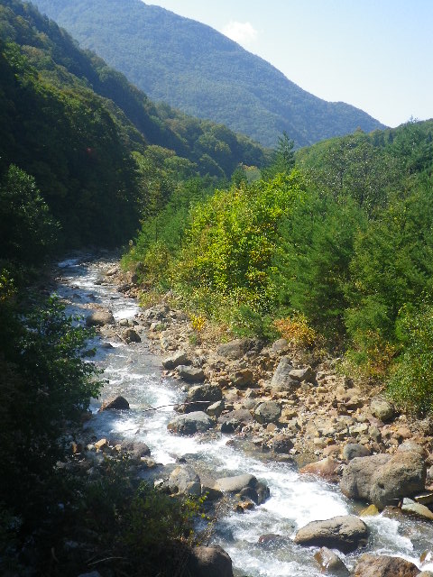 d0193224_12293827.jpg