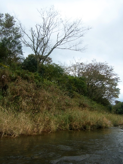 f0103126_18365512.jpg