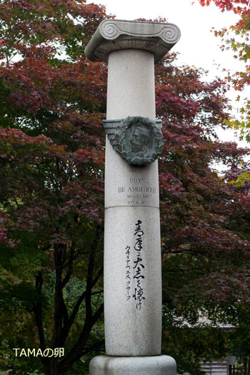 c0024729_16212661.jpg