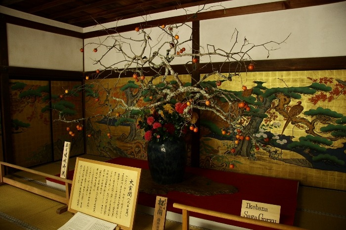 紅葉前の嵯峨野巡り －大覚寺（後編）－_b0169330_15373146.jpg