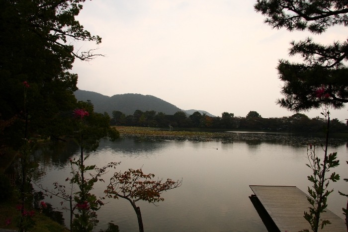 紅葉前の嵯峨野巡り －大覚寺（後編）－_b0169330_15382440.jpg