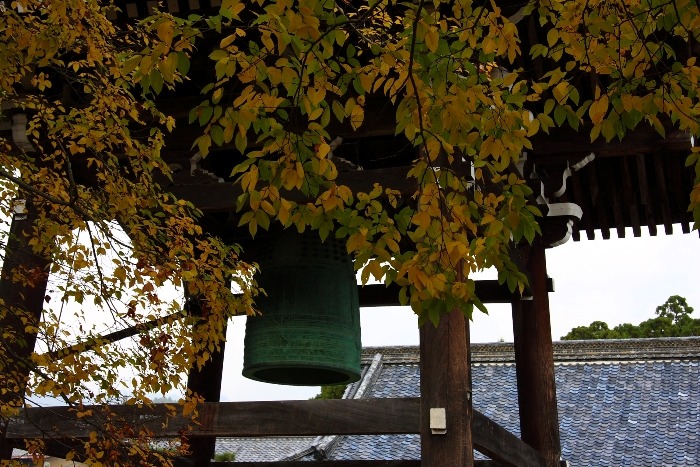 紅葉前の嵯峨野巡り －大覚寺（後編）－_b0169330_15414125.jpg