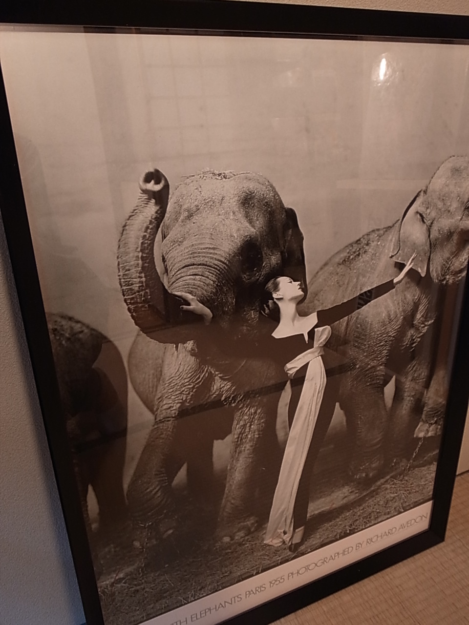 DOVIMA WITH ELEPHANTS / Richard Avedon_a0227034_13223097.jpg