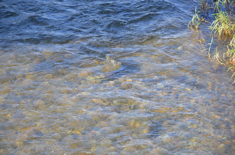 d0156438_1222793.jpg
