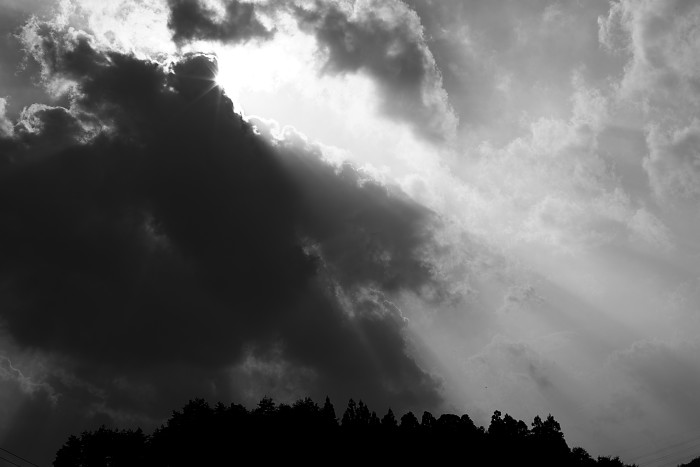 c0211639_20563348.jpg
