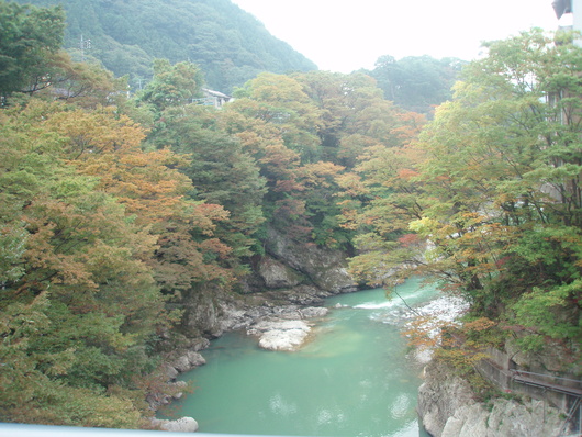 d0249240_1565527.jpg