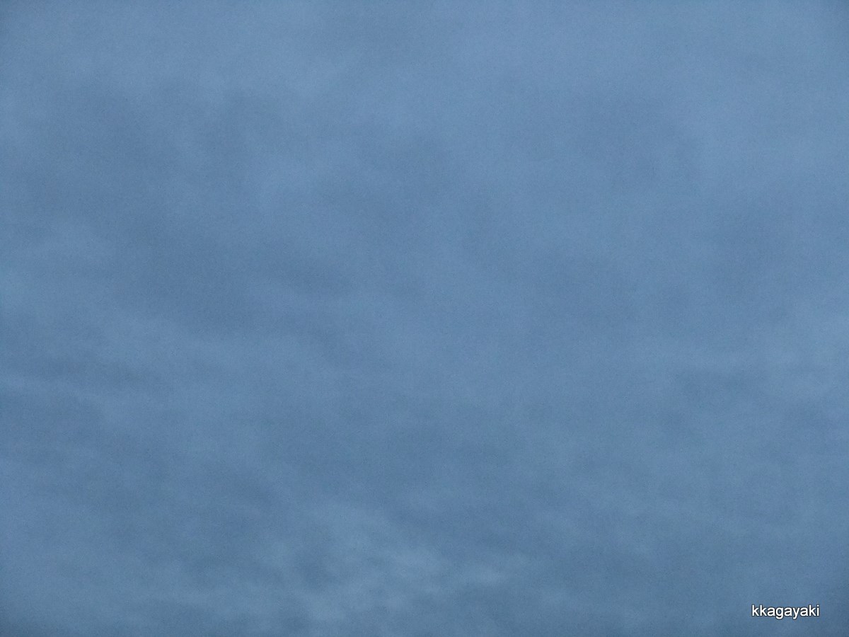 e0206242_91198.jpg