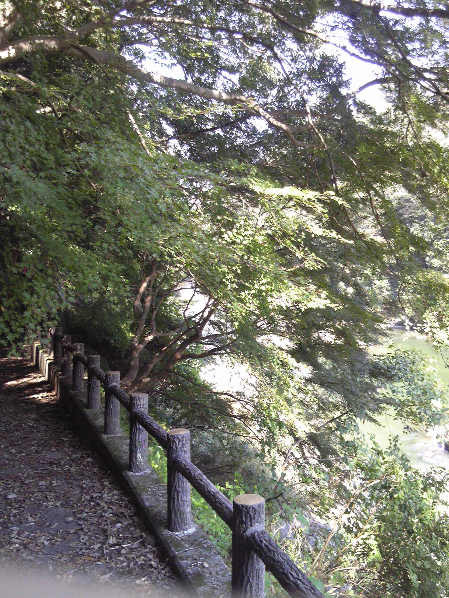 f0226346_1132319.jpg