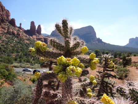 e0201748_17383165.jpg
