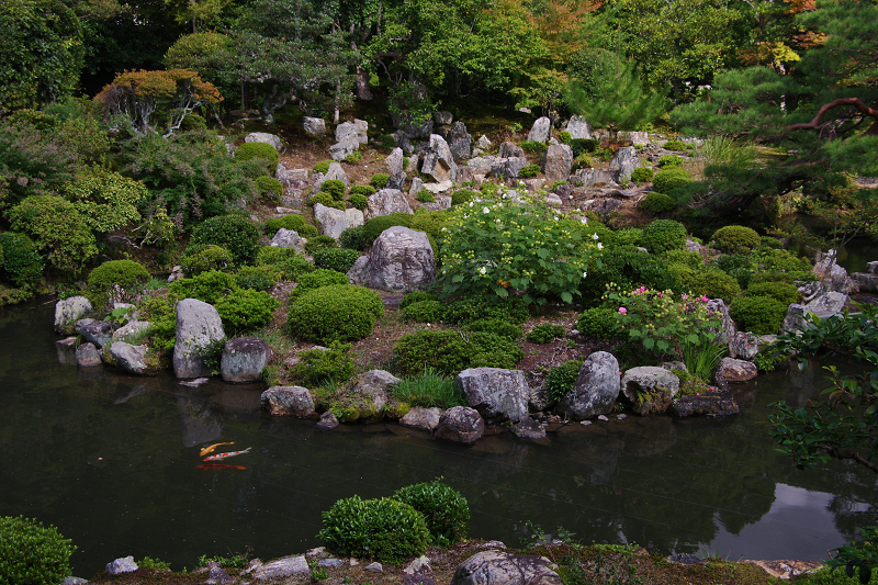 初秋・等持院_f0155048_2119314.jpg