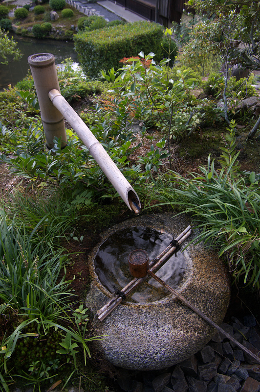 初秋・等持院_f0155048_21193983.jpg