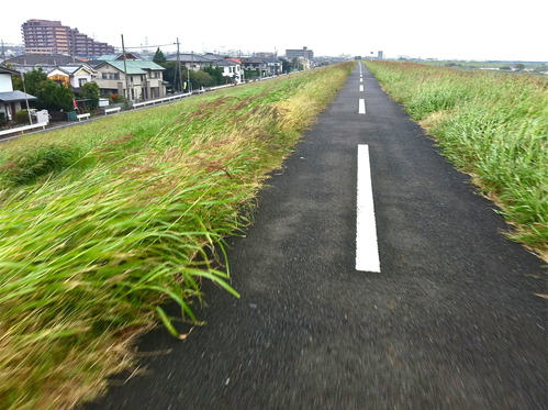 雨でも走りに行く男_e0154650_2283087.jpg