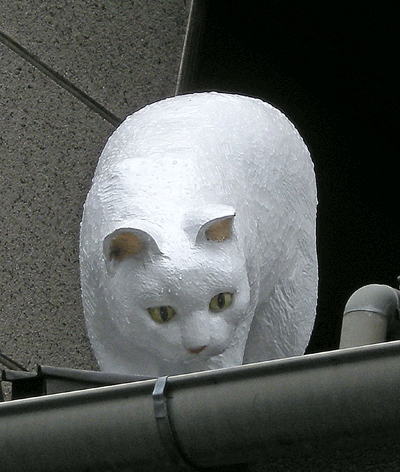 10月15日 東京散歩 谷中ねこ三昧_a0001354_2318579.gif