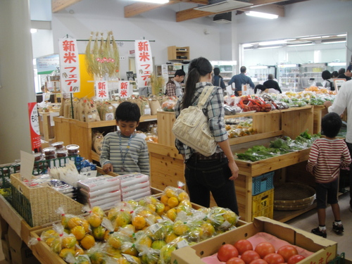 岬町淡輪（たんのわ）の秋祭り_c0108460_1785478.jpg